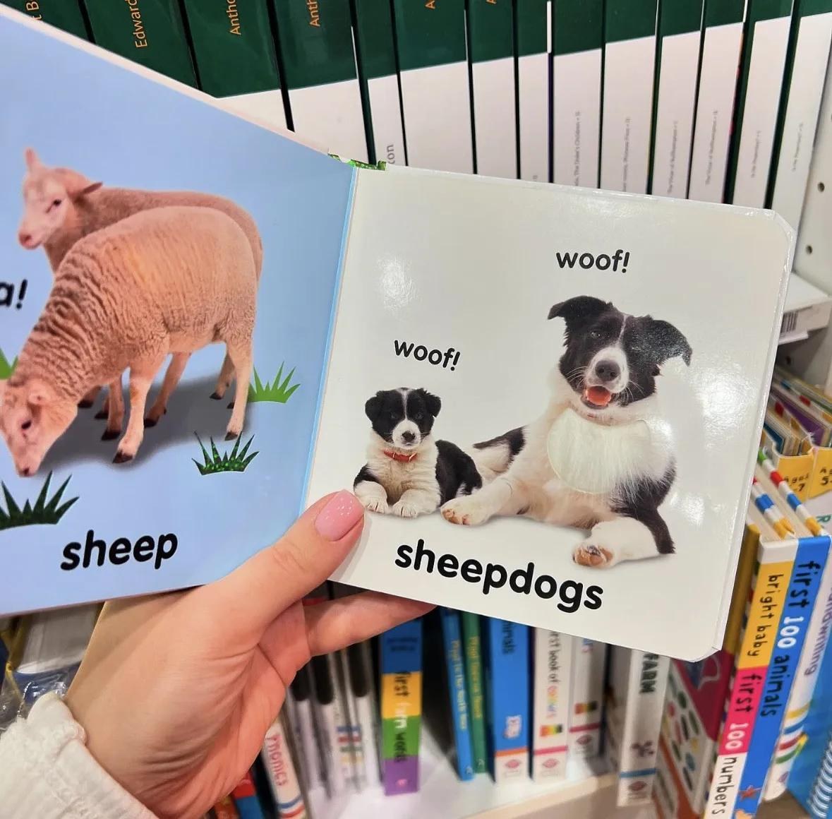 Страница детской книги на английском языке